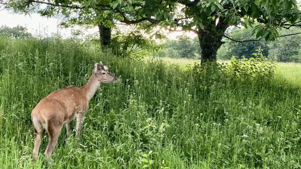 An experience in the heart of nature