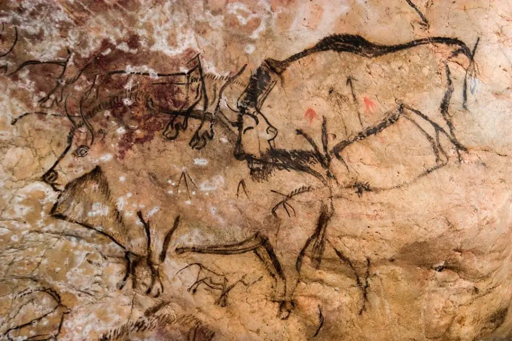 Les bisons de la Grotte